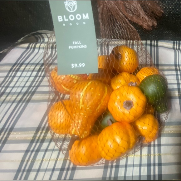 Miniature Fall Pumpkin Gourd Lot - Picture 10 of 14